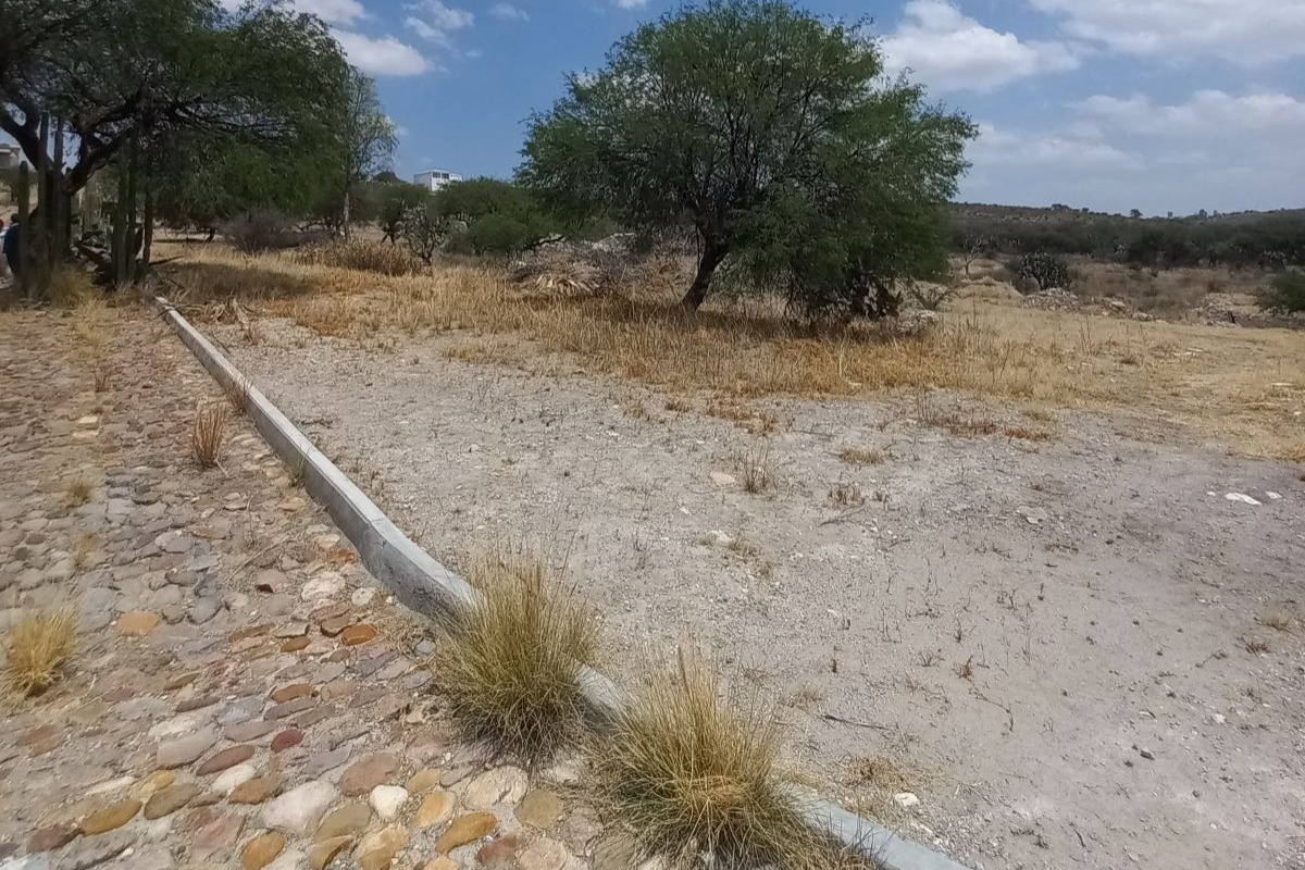 TERRENO CACTUS